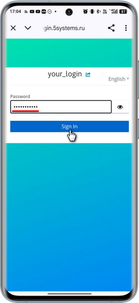 5S Chat - Авторизация - Пароль