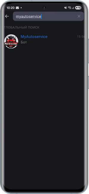 Max - Поиск бота