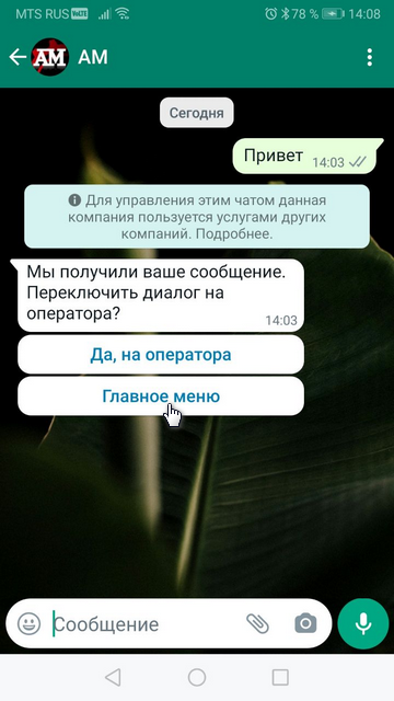 WhatsApp - Инициация диалога