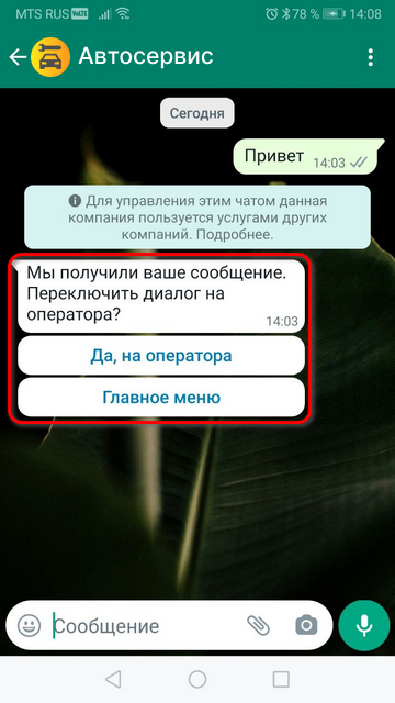 WhatsApp - Приветственное сообщение